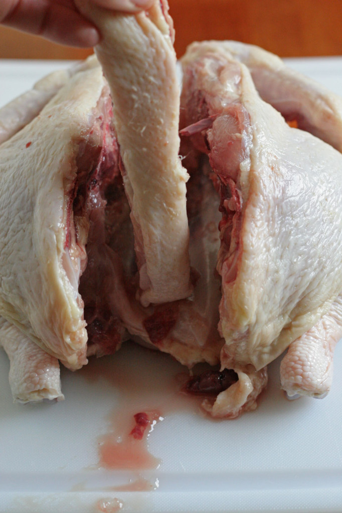 Removing Back Bone From Whole Chicken