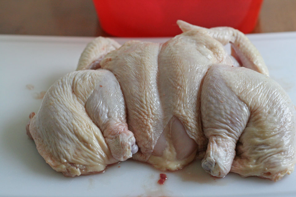 Removing Back Bone From Whole Chicken
