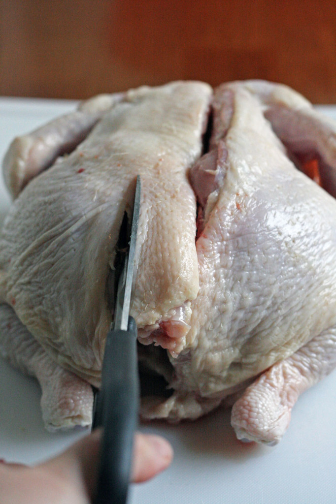 Removing Back Bone From Whole Chicken