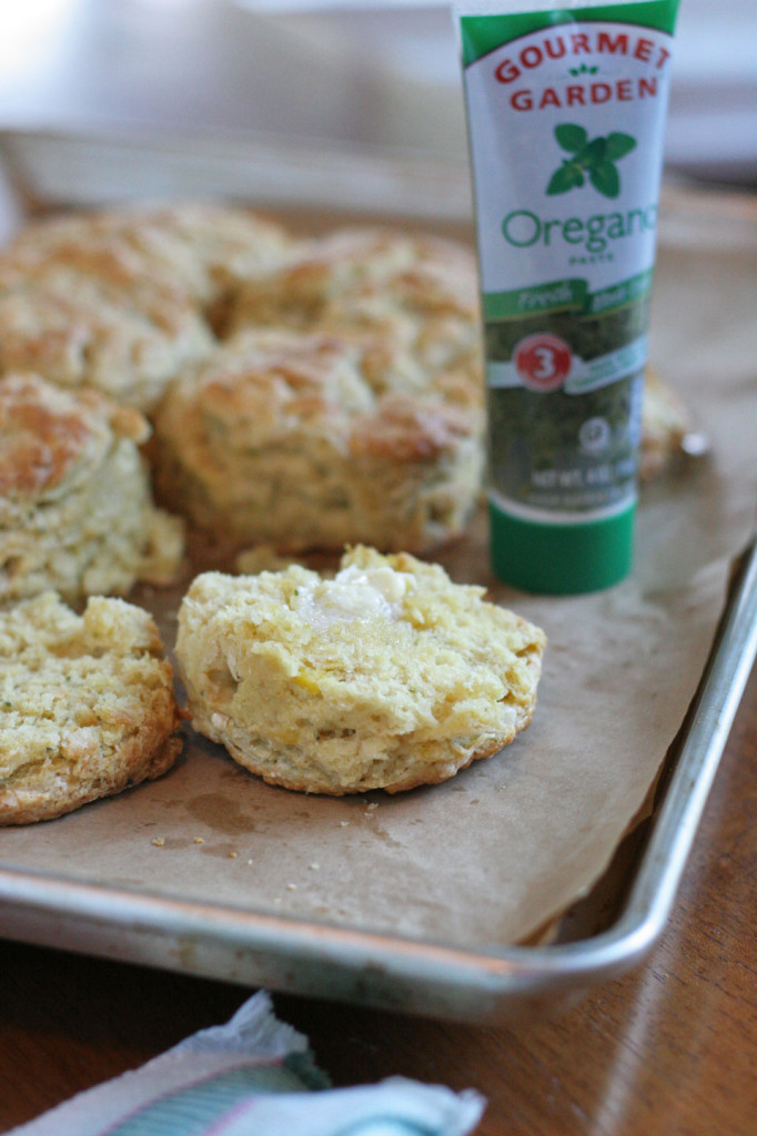 Herb Squash Goat Cheese Biscuits